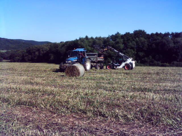 223cf2bbc9_29008971_o2.jpg