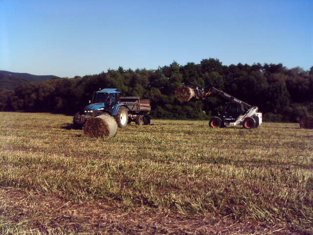 c0404076ab_29008944_o2.jpg