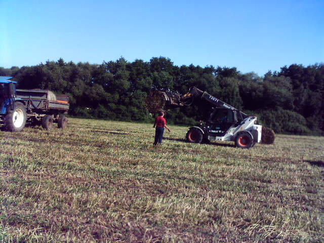 d981c7b702_29008997_o2.jpg