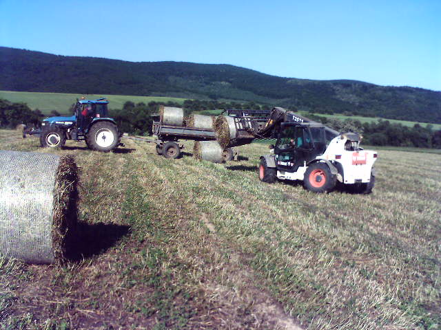debaadb38e_29009144_o2.jpg
