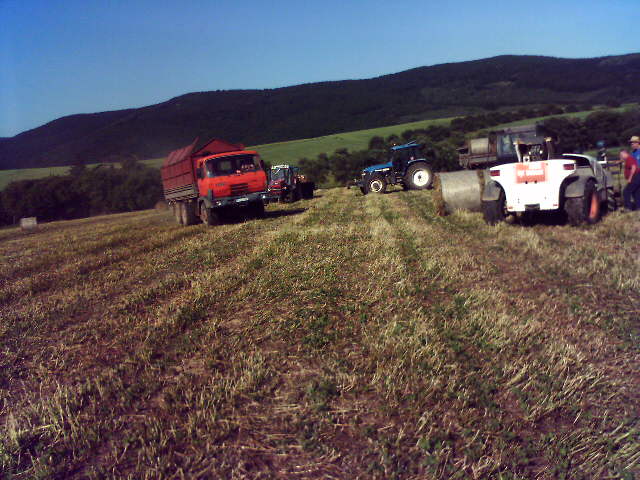 9e03bdbbdc_29009369_o2.jpg