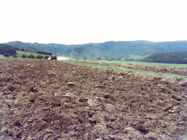 f9b544d7e7_33342433_o2.jpg
