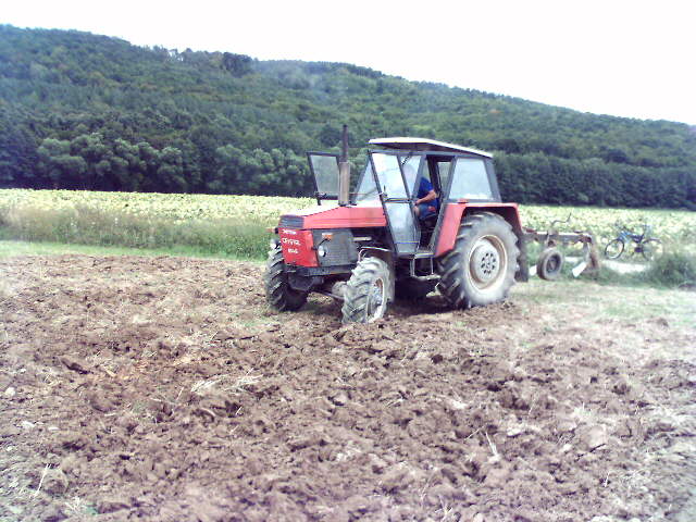 c33d10034e_33342541_o2.jpg