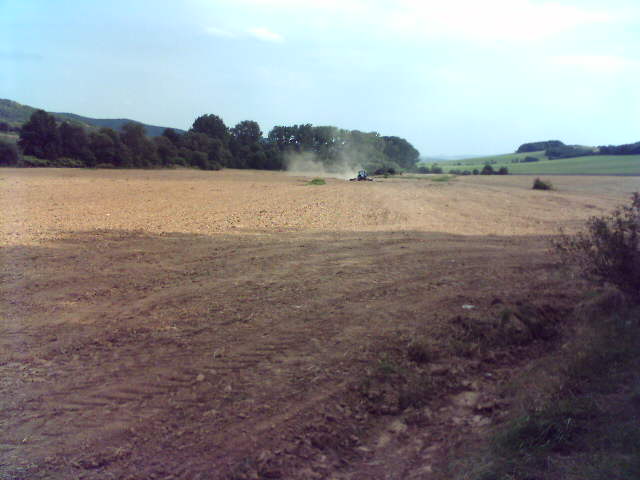 8fe49392ee_33327304_o2.jpg