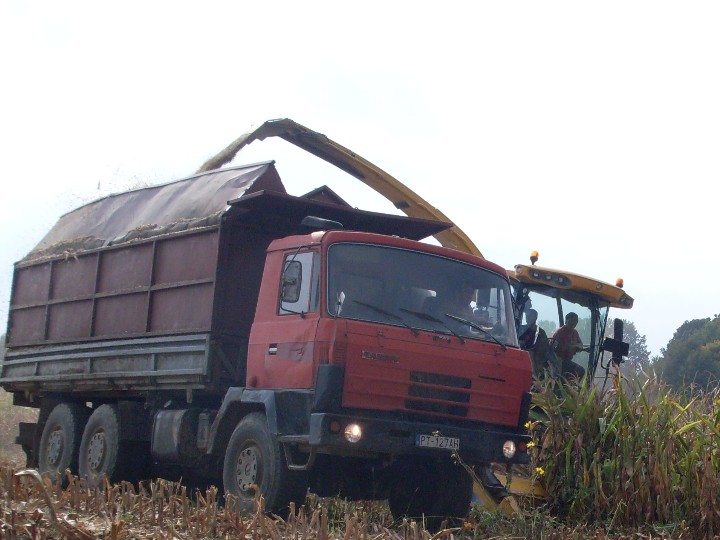 ef21480e77_53983691_o2.jpg