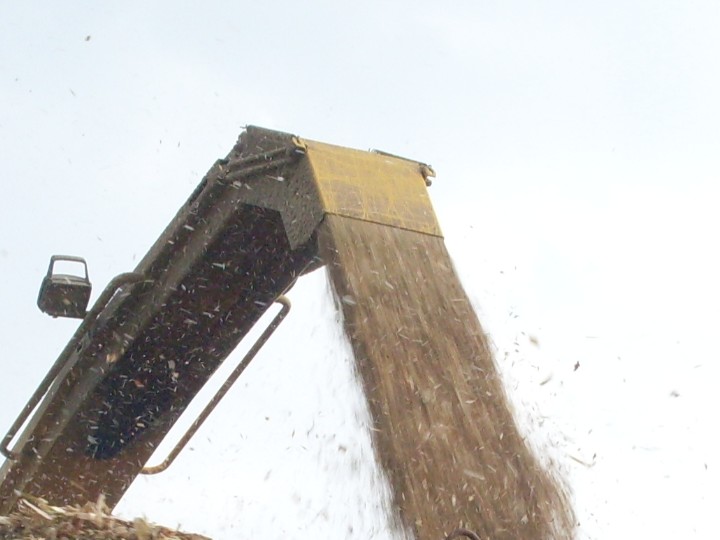 980e8fffaf_53983696_o2.jpg