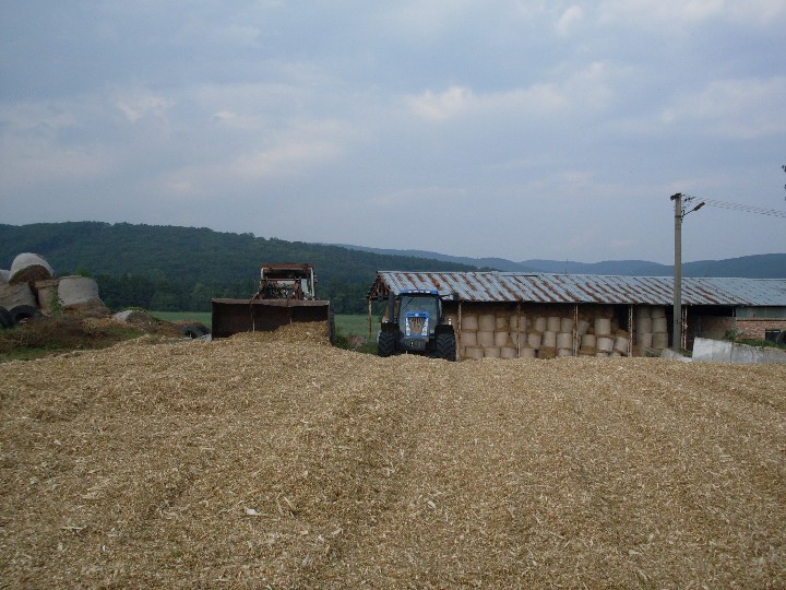 1c915098fa_53983753_o2.jpg