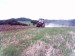 ed73b55813_33342581_o2.jpg