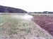 497a09640b_33342615_o2.jpg