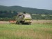 abb3e2ab49_67037432_o2.jpg