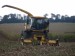 3b926eaed0_53983739_o2.jpg